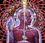 tool_lateralus