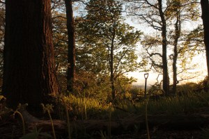 Capturing the beauty of change as well as the loss.