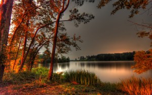 6pqvnqf00n6jghv9p3c3o39sj6544affaa7f81a