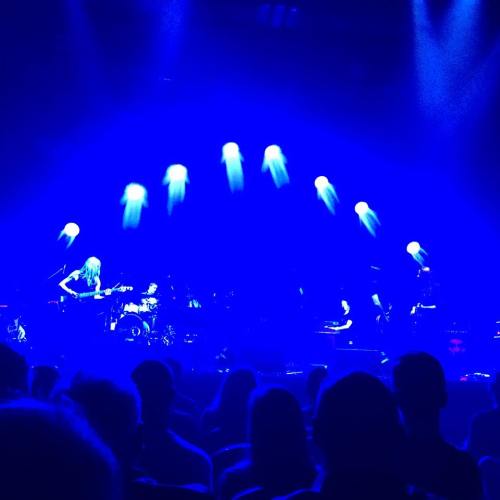 Can you find Steven? Cannot. Erase. This. Band.