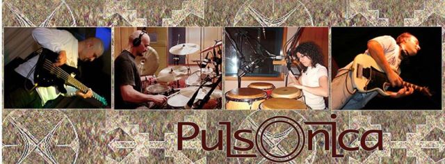 pulsonica