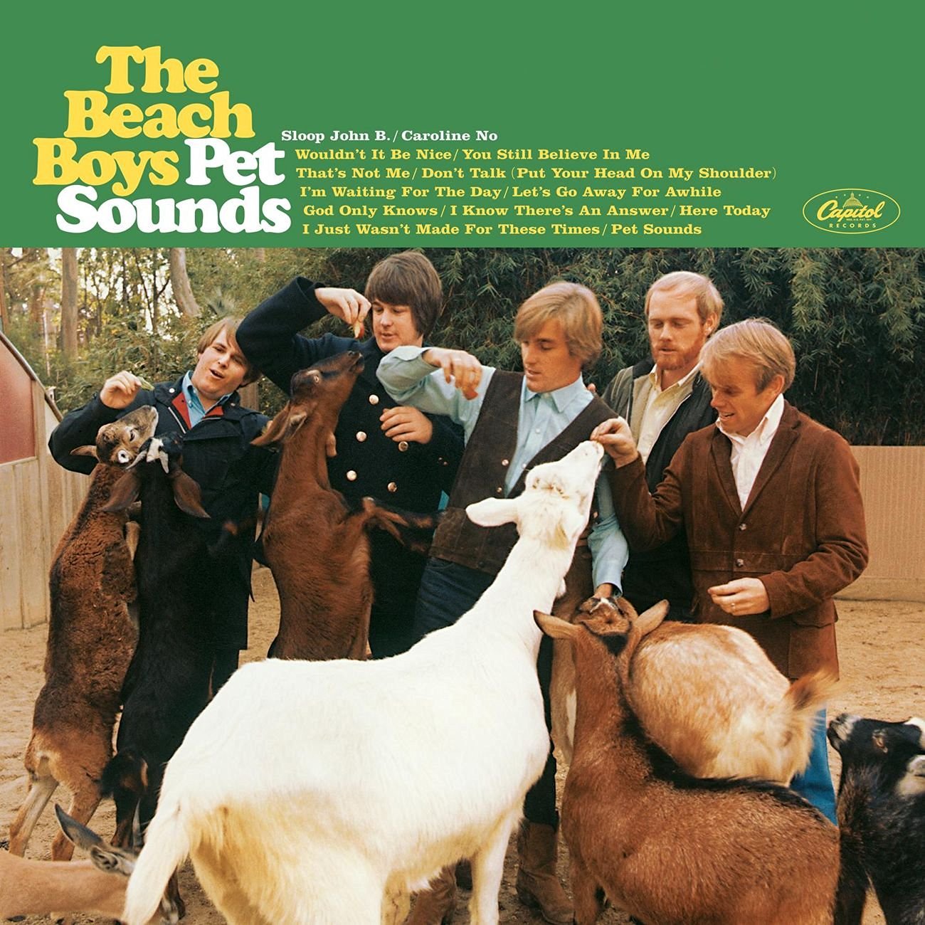 pet-sounds