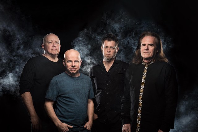 Pattern-Seeking-Animals-featured