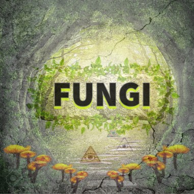 Fungi
